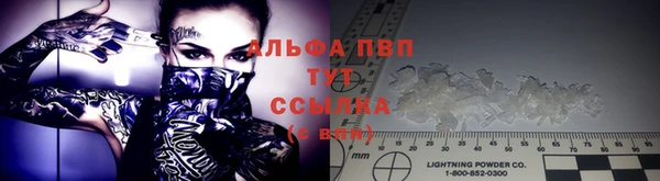 гашик Грязовец