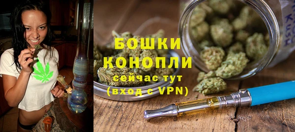 соль ск Каменка