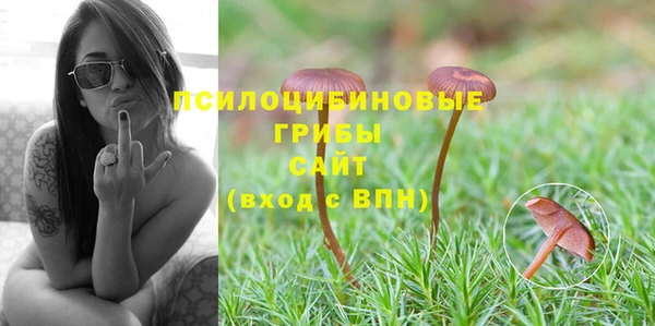 хмурый Покровск