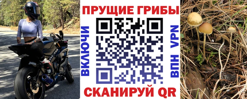 Галлюциногенные грибы Magic Shrooms  Каневская 